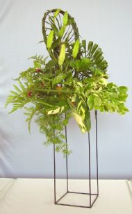 novice class 'flourishing flow of foliage'